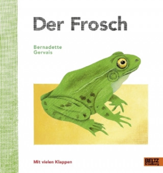 Kniha Der Frosch Bernadette Gervais