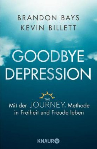 Kniha Goodbye Depression Brandon Bays