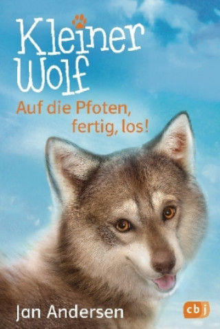 Kniha Kleiner Wolf Jan Andersen