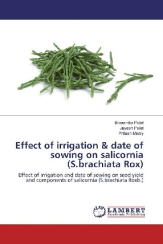 Kniha Effect of irrigation & date of sowing on salicornia (S.brachiata Rox) Bhoomika Patel