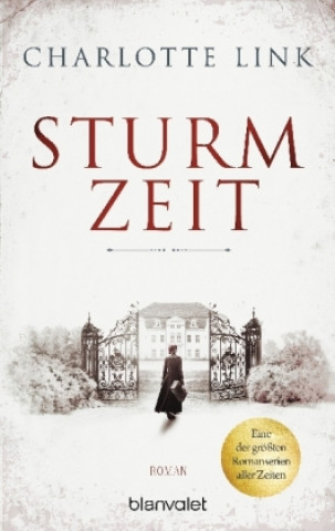 Книга Sturmzeit Charlotte Link