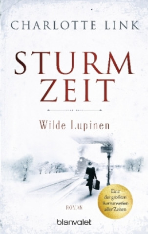 Kniha Sturmzeit - Wilde Lupinen Charlotte Link