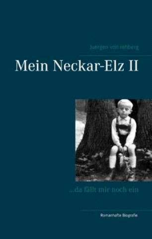 Carte Mein Neckar-Elz II Juergen von Rehberg