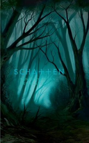 Knjiga Schatten Schülerinnen und Schüler der Klasse 7b