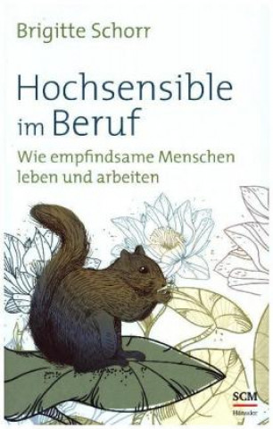 Kniha Hochsensible im Beruf Brigitte Schorr