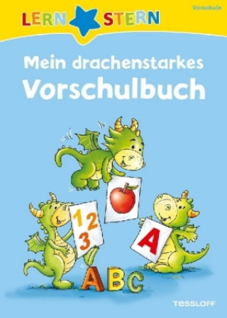 Könyv Mein drachenstarkes Vorschulbuch Julia Meyer