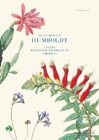Книга Alexander von Humboldt und die botanische Erforschung Amerikas H. Walter Lack