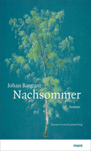 Könyv Nachsommer Johan Bargum