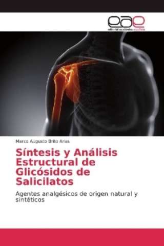 Książka Síntesis y Análisis Estructural de Glicósidos de Salicilatos Marco Augusto Brito Arias
