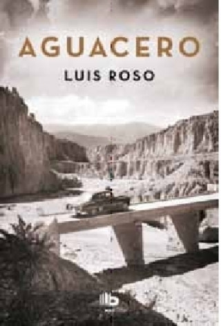 Buch Aguacero Luis Roso