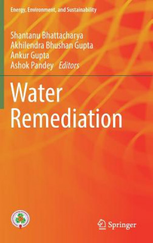 Kniha Water Remediation Shantanu Bhattacharya