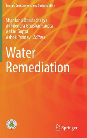 Book Water Remediation Shantanu Bhattacharya