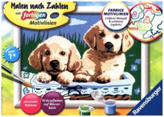 Spiel/Spielzeug Ravensburger Malen nach Zahlen 27839 - Süße Hundewelpen - Kinder ab 7 Jahren 