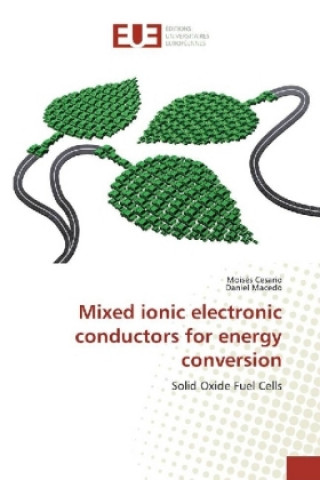 Carte Mixed ionic electronic conductors for energy conversion Moisés Cesario