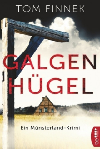 Book Galgenhügel Tom Finnek