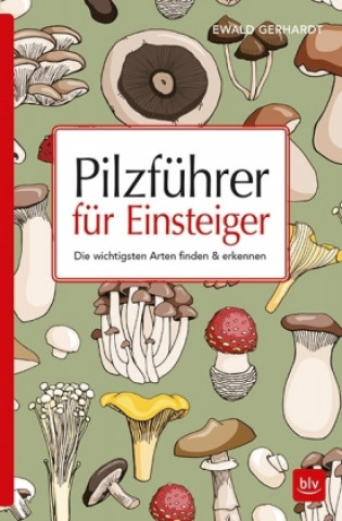 Kniha Pilzführer für Einsteiger Ewald Gerhardt