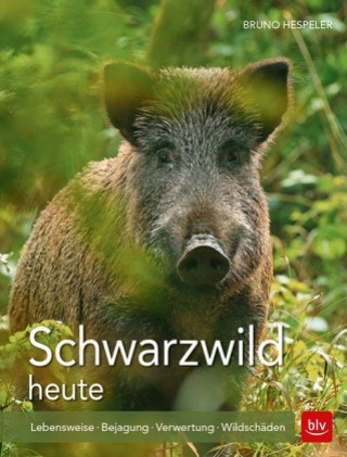 Kniha Schwarzwild heute Bruno Hespeler