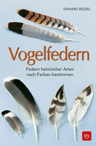 Kniha Vogelfedern Einhard Bezzel