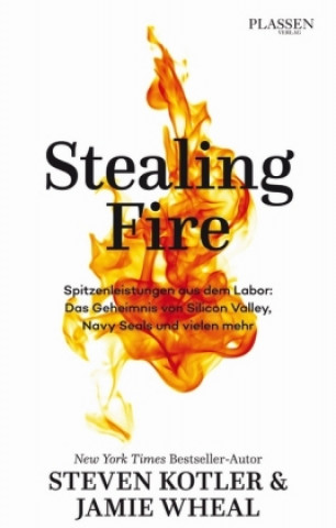 Книга Stealing Fire Steven Kotler