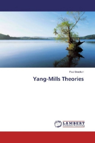 Könyv Yang-Mills Theories Paul Bracken