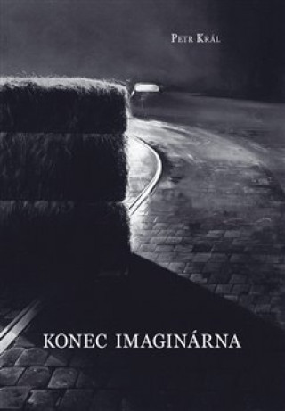 Книга Konec imaginárna Petr Kral