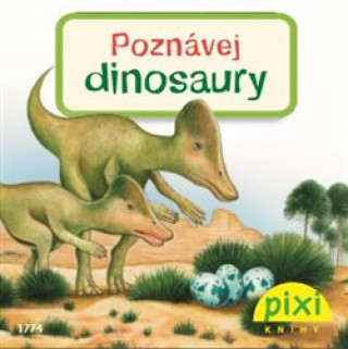 Kniha Poznávej dinosaury Jochen Windecker