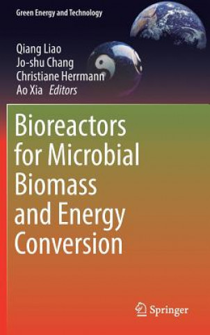 Kniha Bioreactors for Microbial Biomass and Energy Conversion Qiang Liao