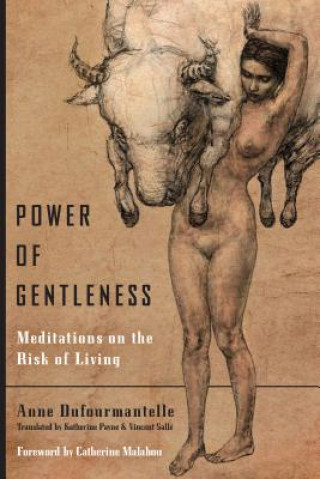 Kniha Power of Gentleness Anne Dufourmantelle