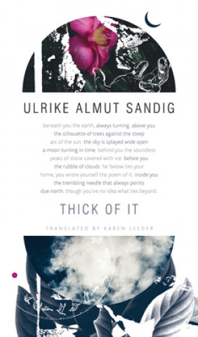 Kniha Thick of It Ulrike Almut Sandig