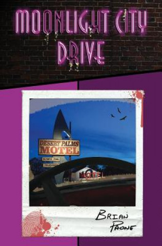Boek Moonlight City Drive BRIAN PAONE
