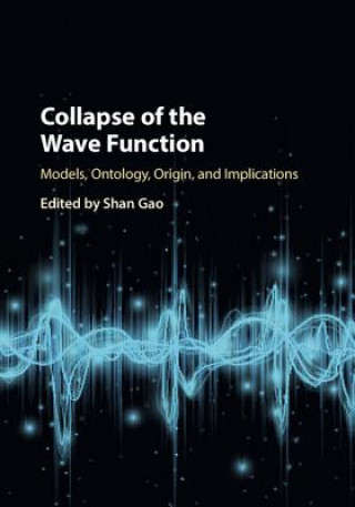 Knjiga Collapse of the Wave Function Shan Gao
