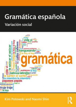 Könyv Gramatica espanola POTOWSKI
