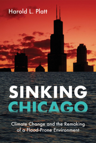 Libro Sinking Chicago Harold L. Platt