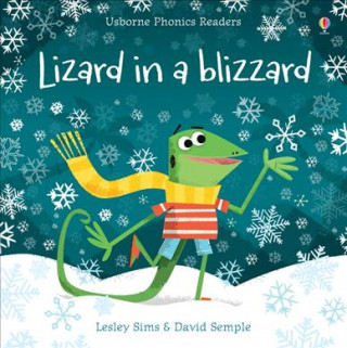 Kniha Lizard in a Blizzard Lesley Sims