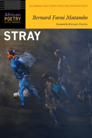 Boek Stray Bernard Farai Matambo