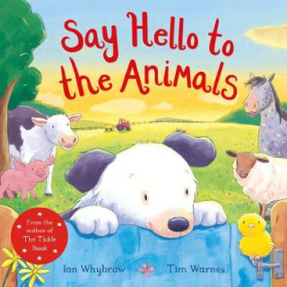 Könyv Say Hello to the Animals WHYBROW  IAN