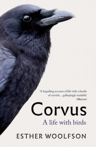 Libro Corvus Esther Woolfson