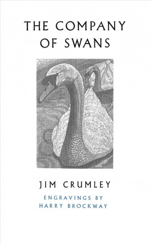 Kniha Company of Swans Jim Crumley