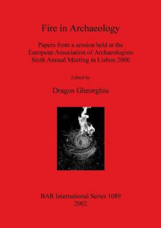 Book Fire in Archaeology Dragos Gheorghiu