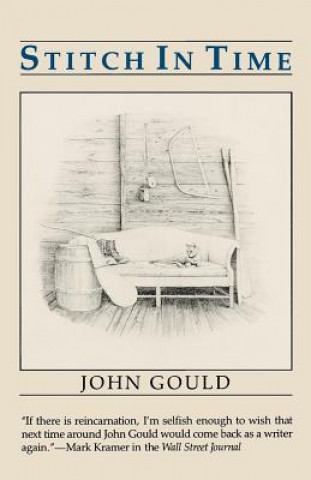 Knjiga Stitch in Time John Gould