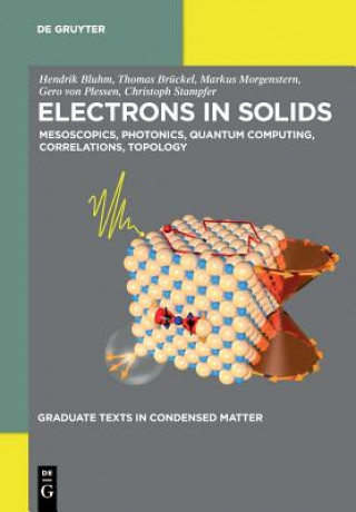 Knjiga Electrons in Solids Hendrik Bluhm