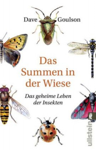 Βιβλίο Das Summen in der Wiese Dave Goulson