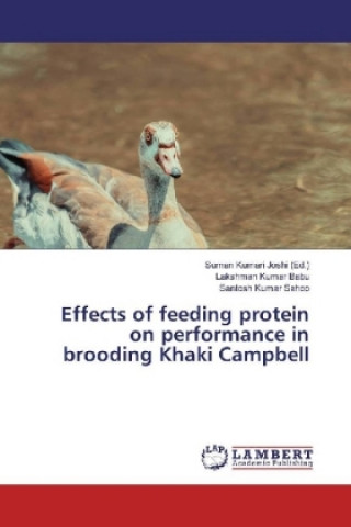 Kniha Effects of feeding protein on performance in brooding Khaki Campbell Lakshman Kumar Babu