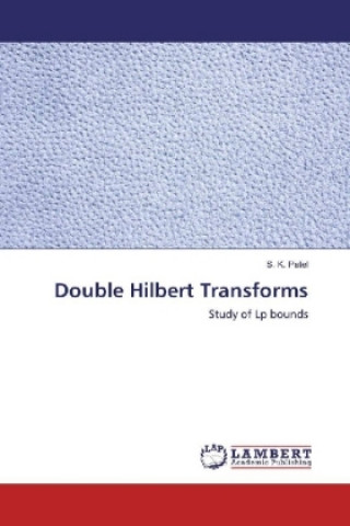 Knjiga Double Hilbert Transforms S. K. Patel