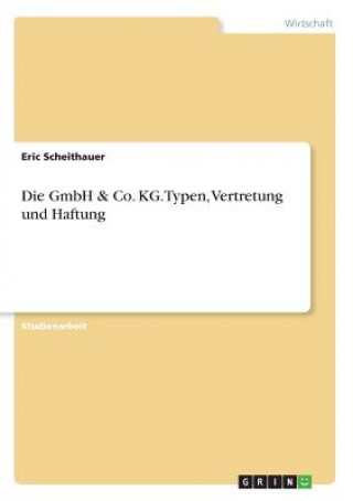 Kniha Die GmbH & Co. KG. Typen, Vertretung und Haftung Eric Scheithauer