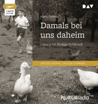 Digitalno Damals bei uns daheim Hans Fallada