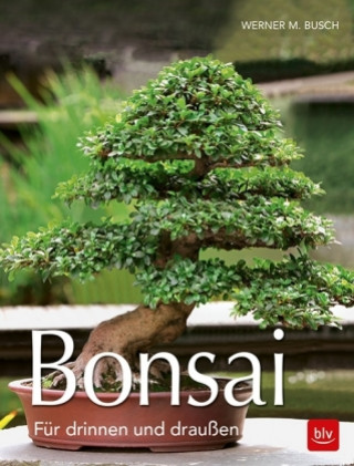Kniha Bonsai Werner M. Busch