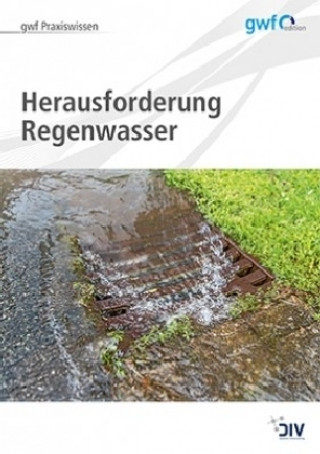 Kniha Herausforderung Regenwasser Hella Runge