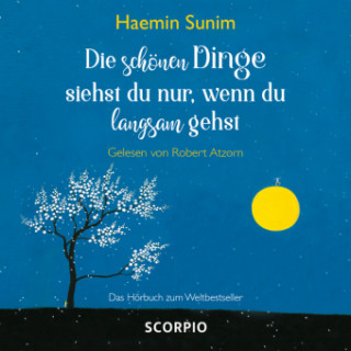 Audio Die schönen Dinge siehst du nur, wenn du langsam gehst, 1 Audio-CD Haemin Sunim