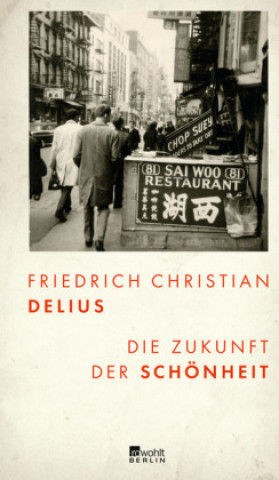Könyv Die Zukunft der Schönheit Friedrich Christian Delius